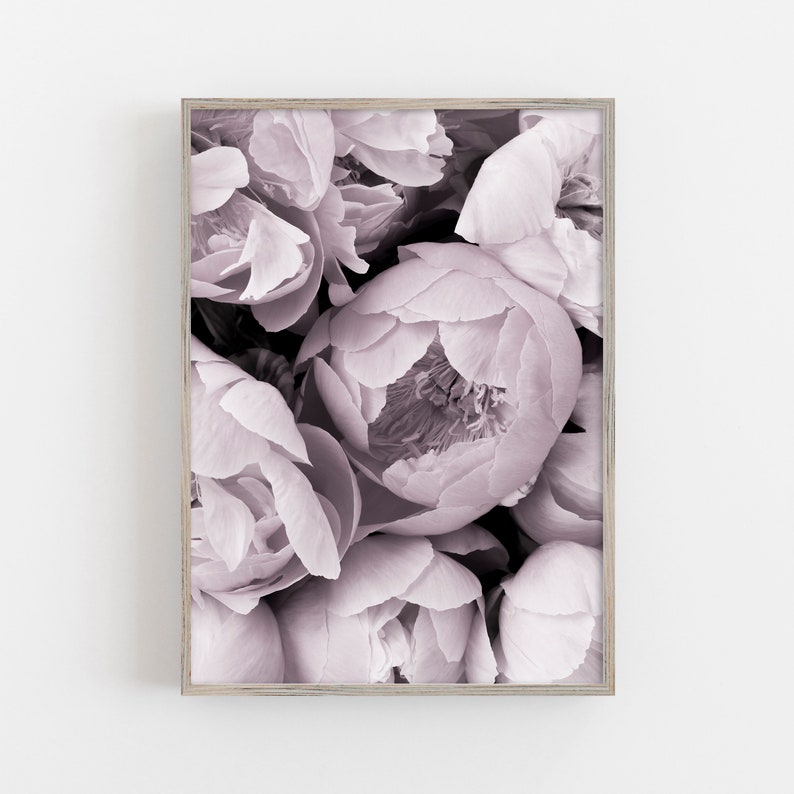 Flower Print Floral Wall Art Pink Flowers Dusty Pink Wall Etsy