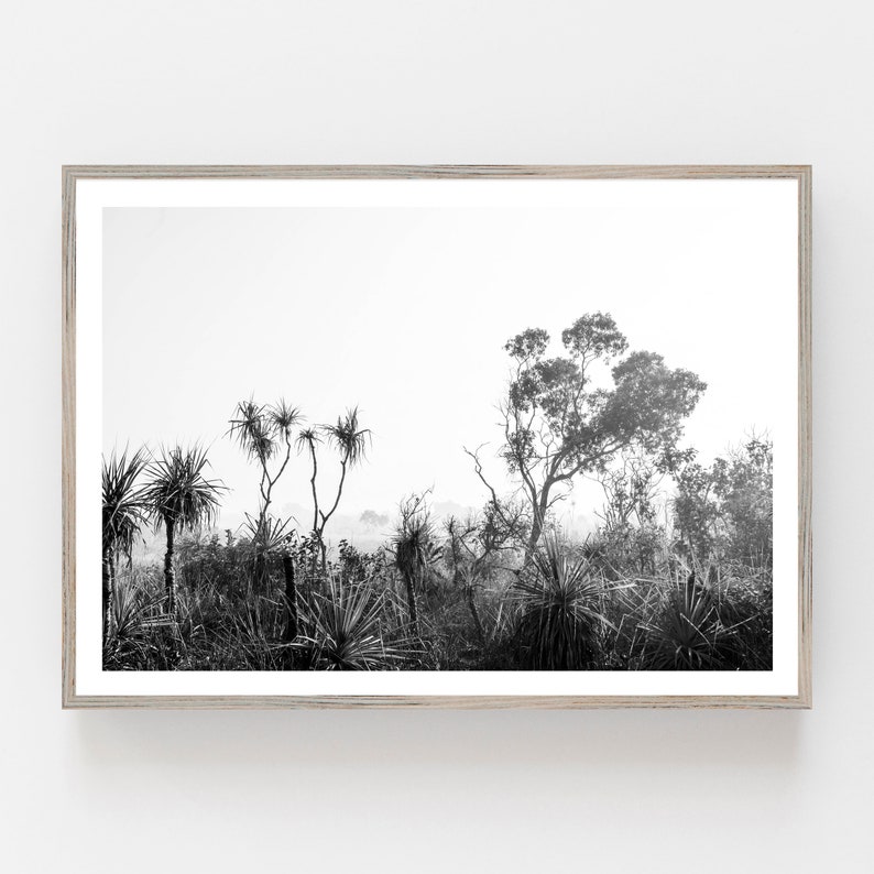 DIY Print Black and White Wall Art Australian Bushland | Etsy