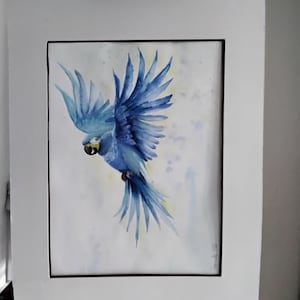 original watercolor, exotic painting, exotic bird painting, wall decoration, original gift, wall art, yachinth macaw, animal painting