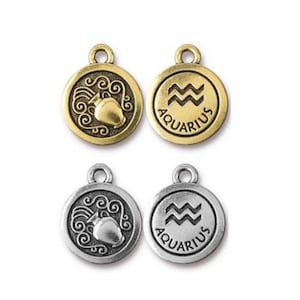 2 pc TierraCast Aquarius Charms / 15.75x18.75mm / 2 colors to choose from / ZODIAC / Astrology / Celestial / Aquarius the Water bearer