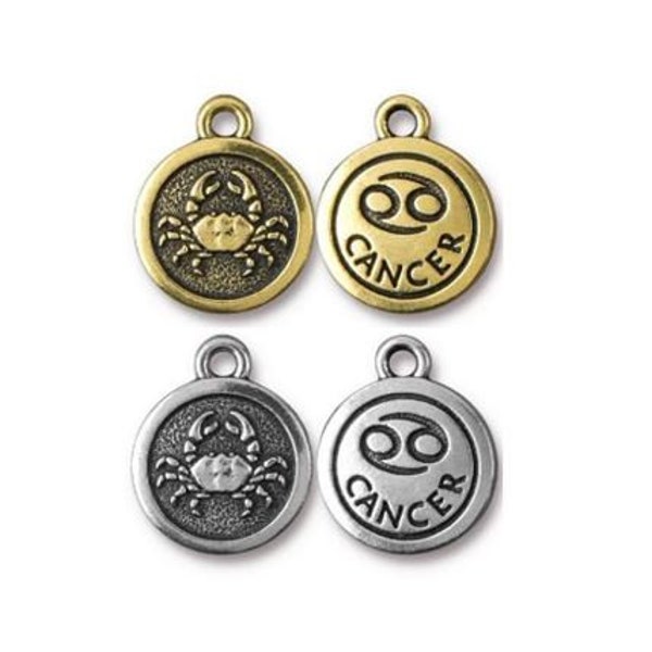 2 pc TierraCast Cancer Charms / 15.75x18.75mm / 2 colors to choose from / ZODIAC / Astrology / Celestial / Cancer the Crab