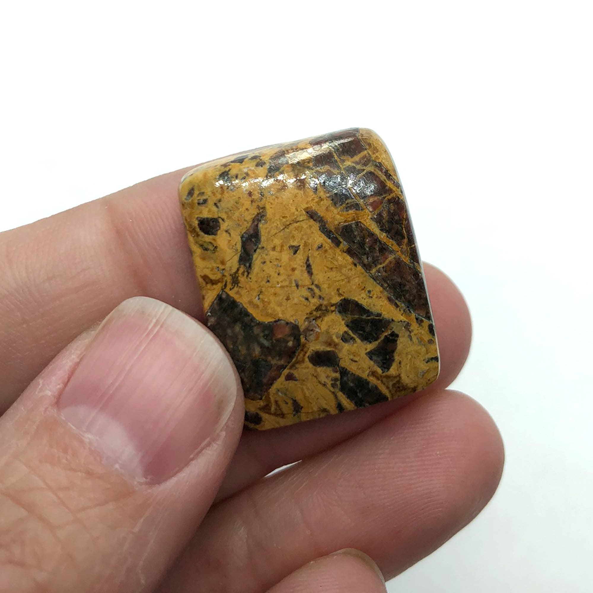 CLEARANCE - Cab#115 - Yellow Jasper / 25x20mm / Cabochon