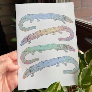Mudpuppy Salamanders Digital print | Salamander illustration