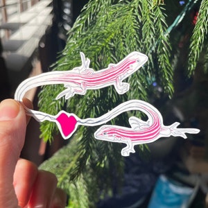Sticker parthénogénique Whiptail lézards | Sticker Saint-Valentin Lézards lesbiennes