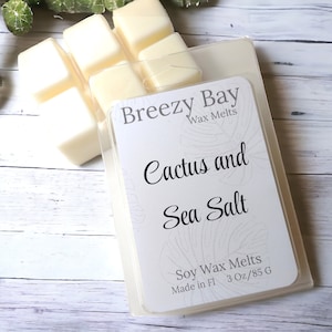 Cactus + Sea Salt Wax Melts, Wax Melts for Warmer, Clean Scented Home Fragrance
