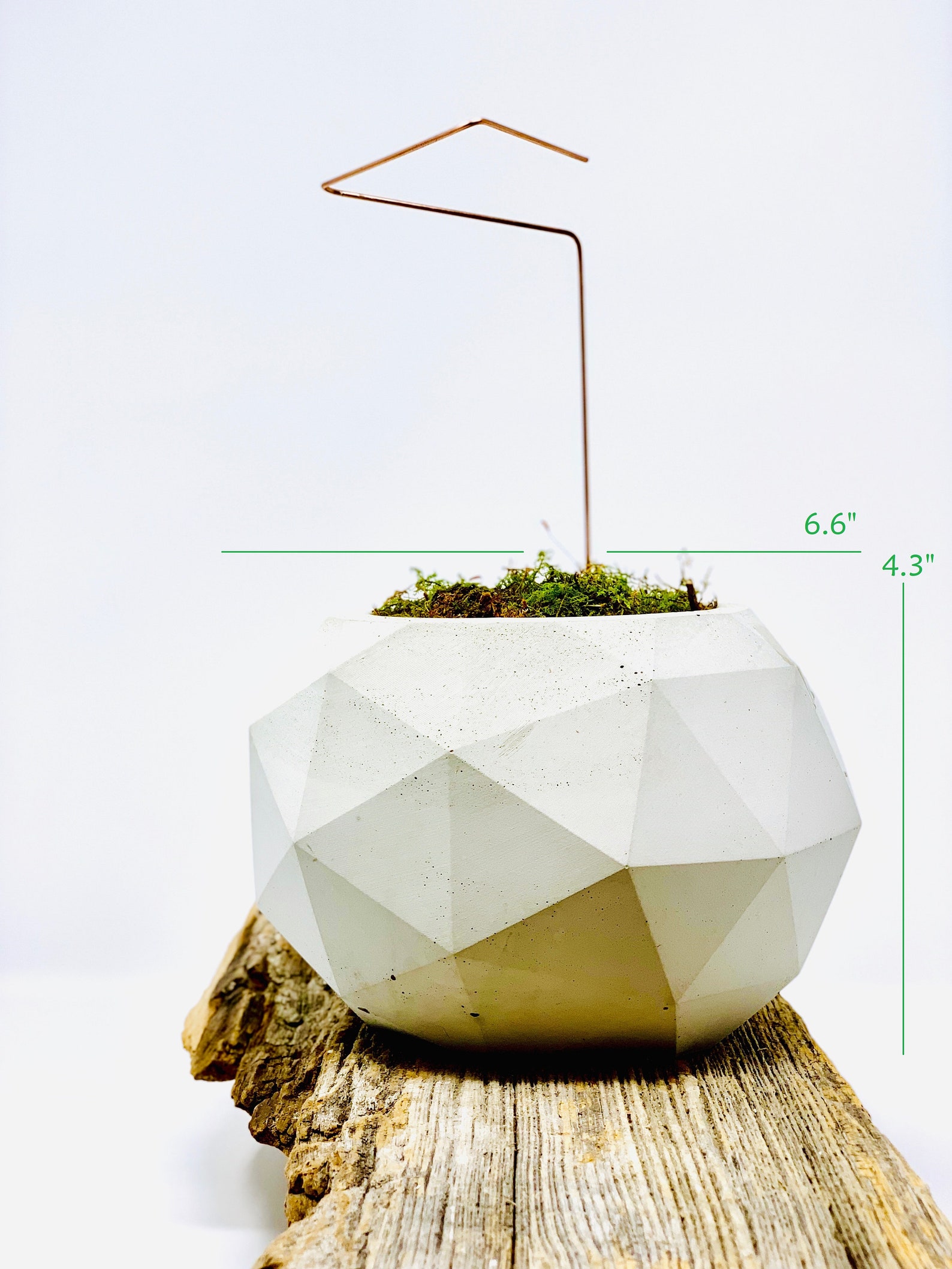 XL Geometric Cement Holder 8.45lbs W/ Xerographica Included Etsy