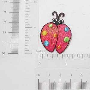 Shimmering Ladybug Patch  Embroidered Applique Iron on
