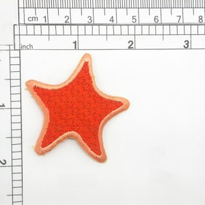Könnte beinhalten: Ein roter Filzstern mit rosa Umrandung. Der Stern ist etwa 5 cm breit.