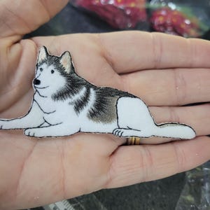 Toppa ricamata con cane Husky da applicare con ferro da stiro