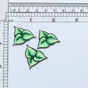 3 opstrijkbare geborduurde appliqués klimopblaadjes (1 x 7/8 inch)