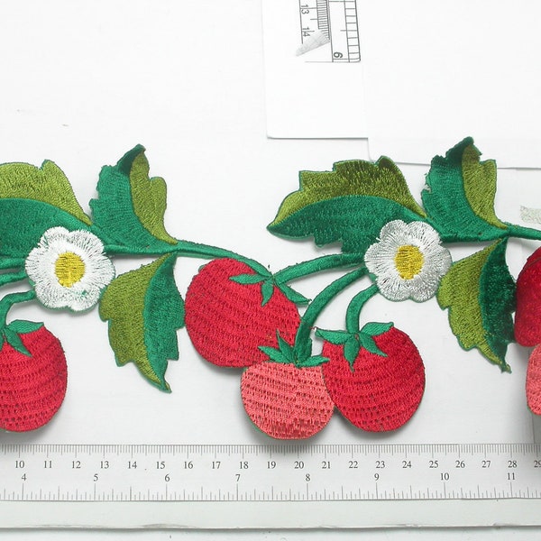 Embroidered Fruit Vine  114mm 4 1/2" wide Priced Per Yard  Iron On