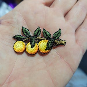 May include: Embroidered patch featuring three yellow and orange citrus fruits with green leaves and a brown stem. The patch is designed with detailed stitching, creating a textured and vibrant appearance. Ideal for adding a decorative touch to clothing or accessories.
