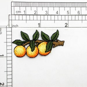 Orange On Branch Iron On Patch Applique  Measures 1 7/8&quot; long x 1&quot; wide