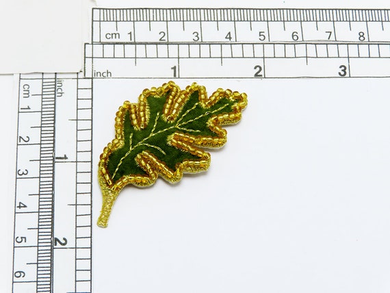 Ghiande E Foglie Della Quercia Isolate Su Bianco Fotografia Stock - Foto 10