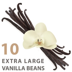 Vanilla Beans (Grade A Gourmet) | Extra Large 8 inch Length | Culinary Award Winning Flavor, Aroma, Freshness | Cooking & Baking