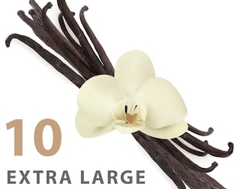 Vanilla Beans (Grade A Gourmet) | Extra Large 8 inch Length | Culinary Award Winning Flavor, Aroma, Freshness | Cooking & Baking