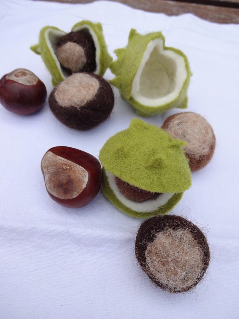 Chestnut casing with chestnut image 2