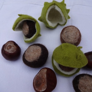 Chestnut casing with chestnut image 1