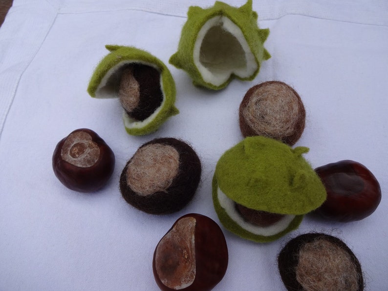 Chestnut casing with chestnut image 1