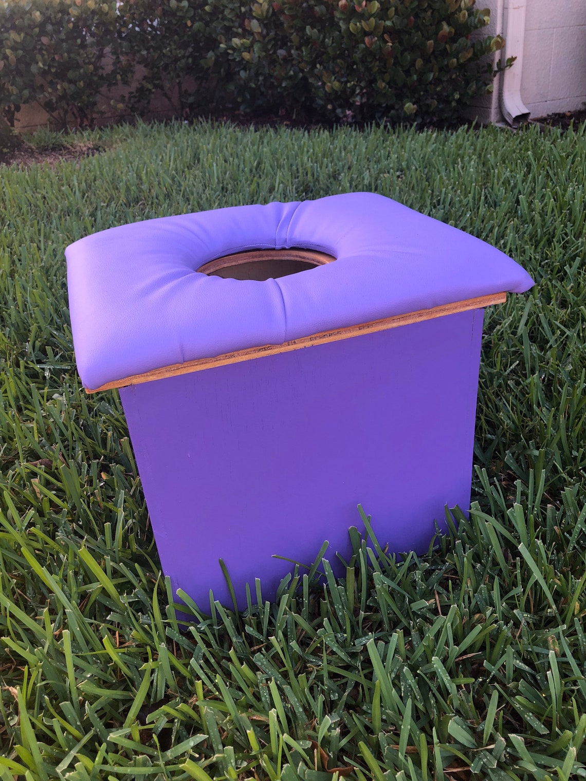 Yoni Seat Steam purple Etsy