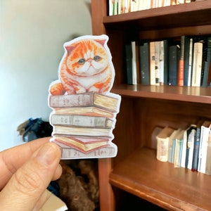 Cat sticker, reader, reading Sticker, Laptop Stickers, Water bottle Stickers, cat on books sticker