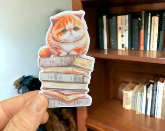 Cat sticker, reader, reading Sticker, Laptop Stickers, Water bottle Stickers, cat on books sticker