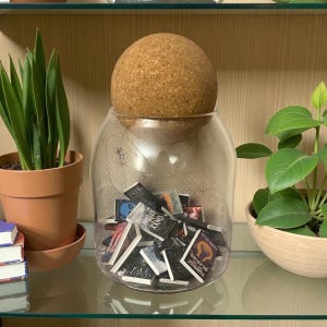 May include: A clear glass jar with a large cork stopper, filled with miniature books. The jar sits on a glass shelf, with potted plants on either side. The books have various titles.