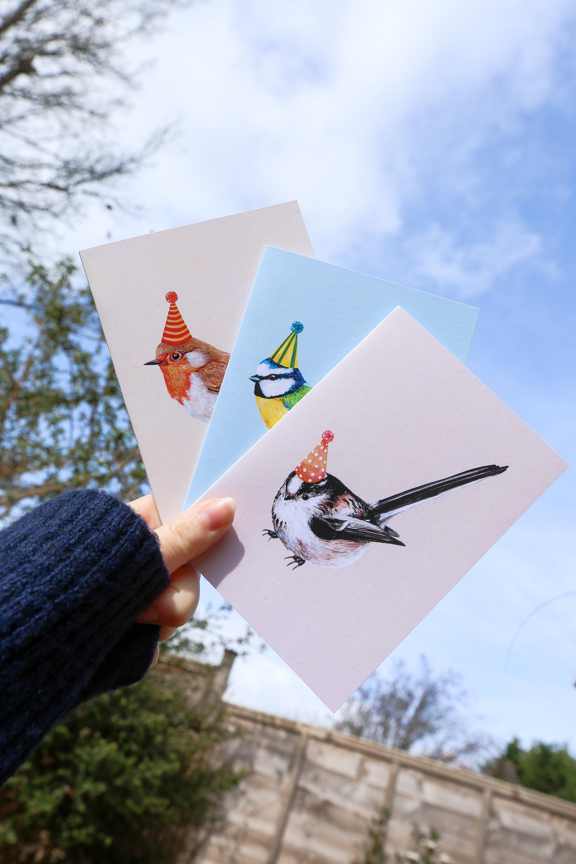Beautiful Robin Birthday Card - Special Greeting Card For Family, Friends & Bird Lovers