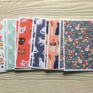 Cat  note cards /set of 12,  budget EZ, blank inside, for cat lovers