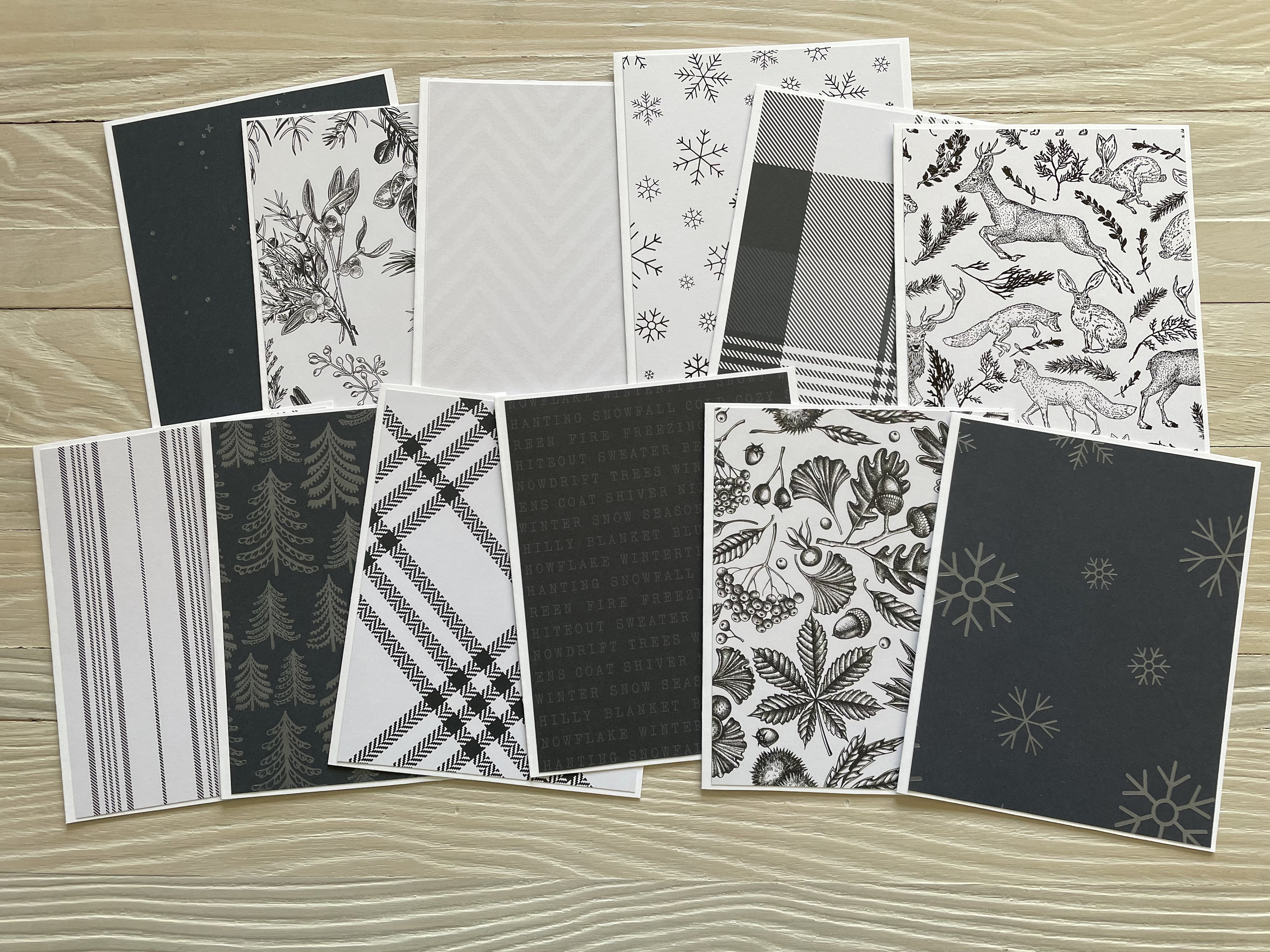 Winter in Black and White Note Cards/set of 12, Budget EZ, Blank Inside ...