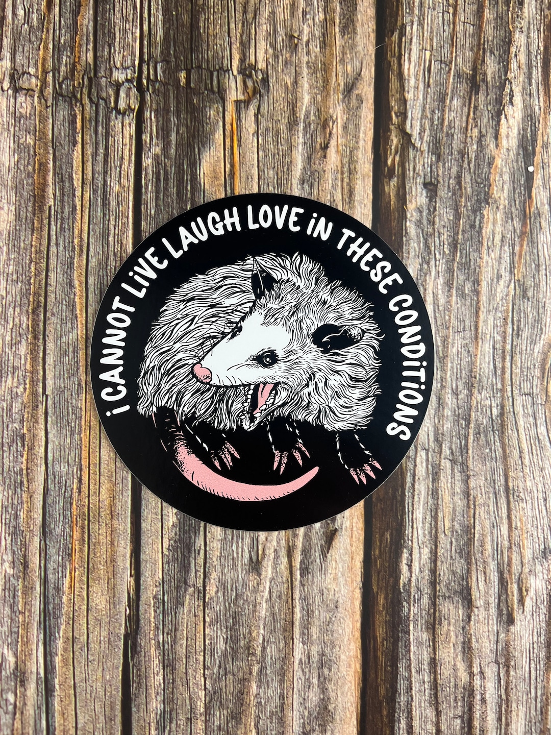 4 Sticker, I Cannot Live Laugh Love in These Conditions Oppossum ...