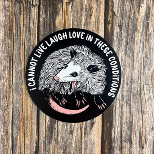 4” sticker, I cannot live laugh love in these conditions oppossum sticker, I cannot live laugh love in these conditions possum sticker