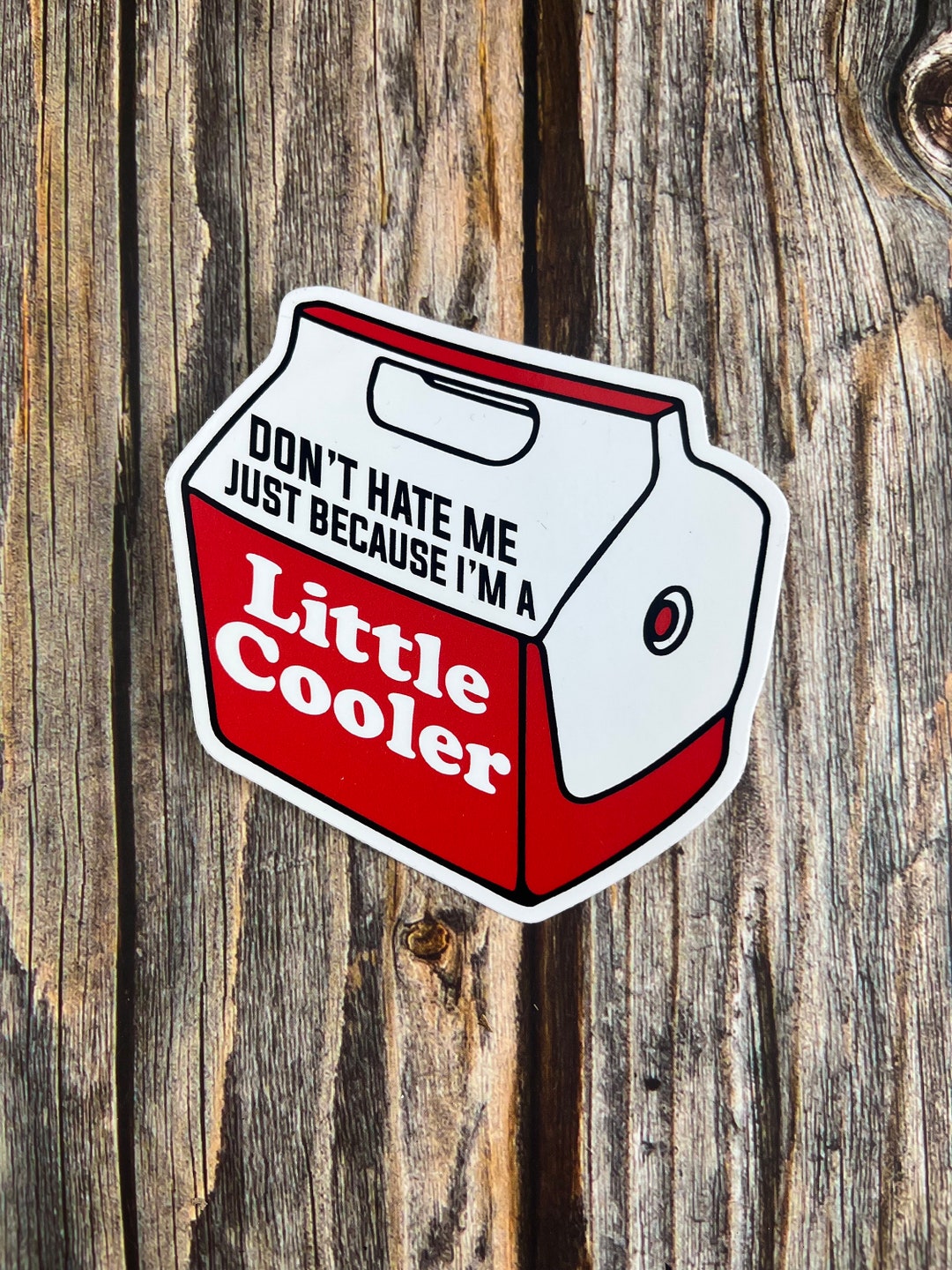 4 Sticker Dont Hate Me Just Because Im a Little Cooler Etsy