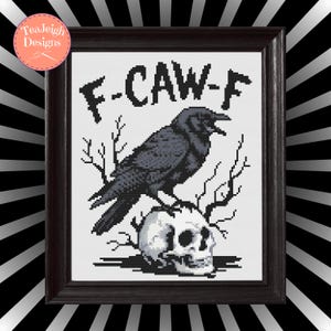 May include: Framed cross-stitch art featuring a black crow perched atop a skull, with the text "F-CAW-F" above. The artwork is in a dark wooden frame, with a black and white striped background.