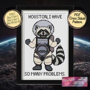 Può includere: Uno schema di punto croce con un procione che indossa una tuta spaziale con il testo "Houston, ho tanti problemi". Lo schema è incorniciato in nero e ha uno sfondo bianco.