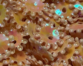 Yellow Peach Color Shift Gear Sequins, 7mm~ 2.5g