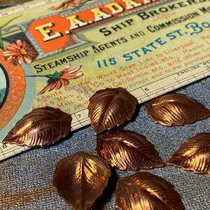 May include: Close-up of several bronze-colored leaf-shaped embellishments. The leaves are arranged on a textured blue surface near a vintage document with the text "E.A. ADAMS & CO SHIP BROKERS STEAMSHIP AGENTS AND COMMISSION MO".