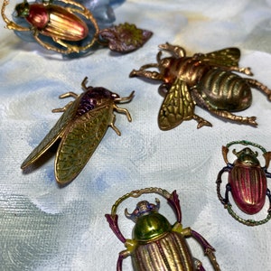 May include: An assortment of decorative insect brooches. The brooches feature detailed designs of beetles, a cicada, and a bee, with metallic gold, green, and red finishes. Some brooches have a ring or halo design around the insect.
