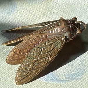 May include: A bronze-colored cicada insect pendant with detailed wings and body. The pendant has a textured surface and a small loop for hanging. The wings are spread, and the insect is in a resting position.