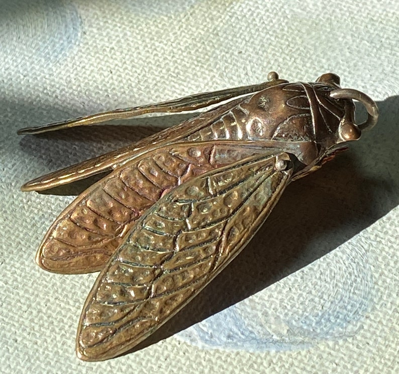May include: A bronze-colored cicada insect pendant with detailed wings and body. The pendant has a textured surface and a small loop for hanging. The wings are spread, and the insect is in a resting position.