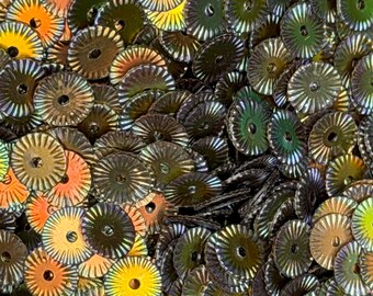 Sequin Copper Green Spokes,   7mm