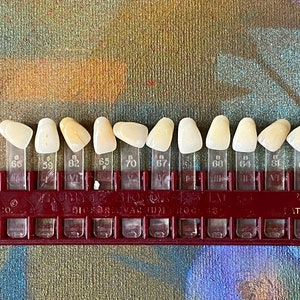 1 Vintage Tooth Color Chart Shade Guide Jewelry Components