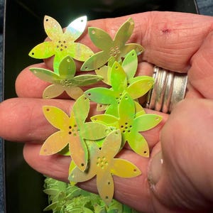 Chartreuse regnbågsfärgade Sakura sybara paljetter ~ 28 mm paljetter ~ 30 stycken, 3 g