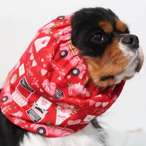 Valentine’s Day Dog Snood worn by a Cavalier King Charles Spaniel.