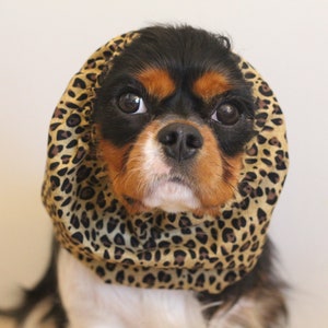 Leopard Dog Snood- Cavalier Dog Snood- Cotton Dog Snood- Brown Dog Snood- Snoods for Long-Eared Dogs- Long Ear Covering-Cocker Spaniel Snood