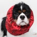 see more listings in the Dog Snoods section