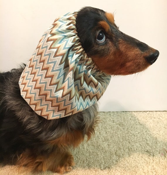snood dog snood dog
