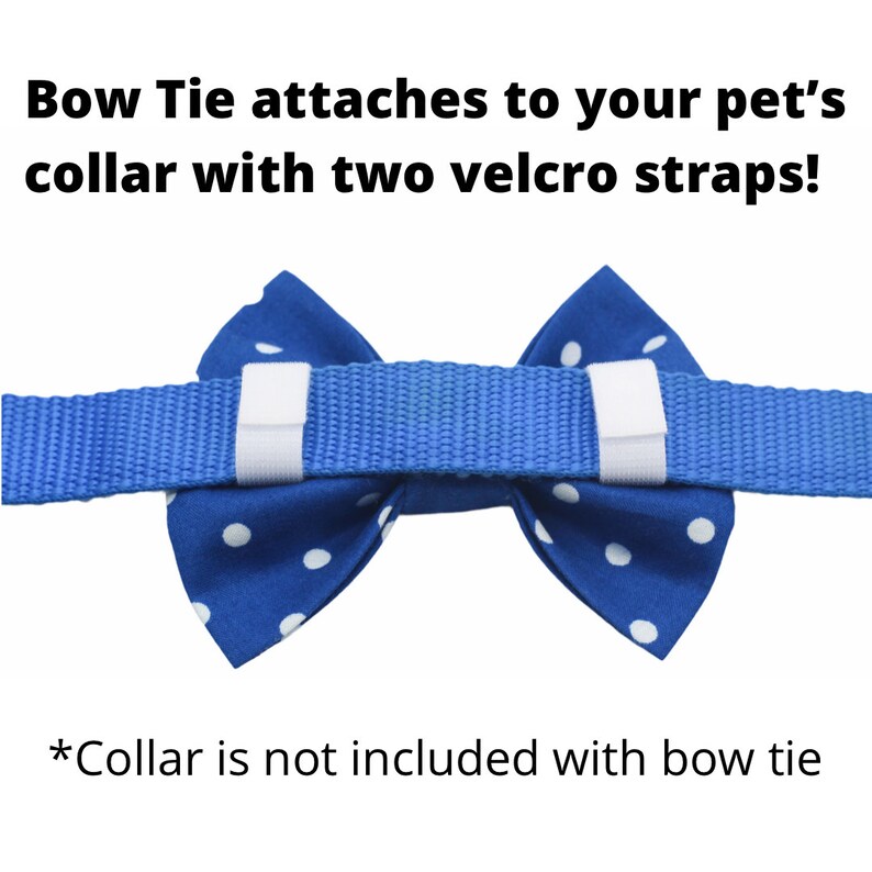 Photo shows two velcro straps on dog bow tie that attach to your pet’s collar for a secure fit.