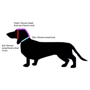 Dog snood measuring guide showing how to measure around your dog’s neck and your dog’s head in front of their ears for snood sizing.