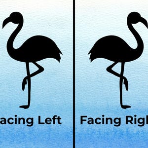 Flamingo direction options for decal.